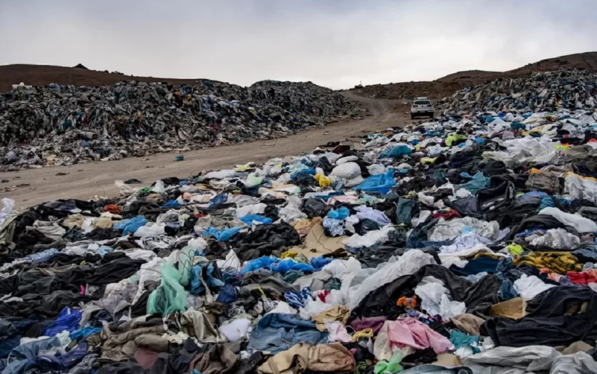 LA ROPA SINTÉTICA CONTAMINA EL ECOSISTEMA