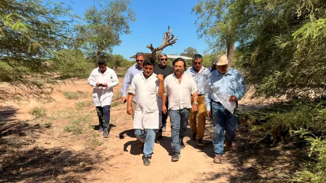 Sáenz recorrió Morillo y coordinó la asistencia a familias afectadas por la crecida del Bermejo