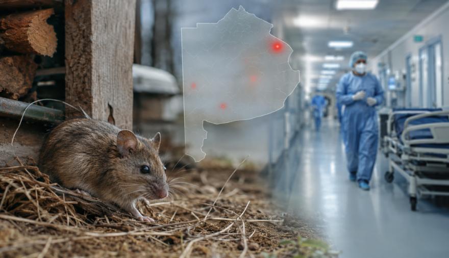 Hantavirus: crecen los casos en Buenos Aires y preocupa un brote fuera de temporada
