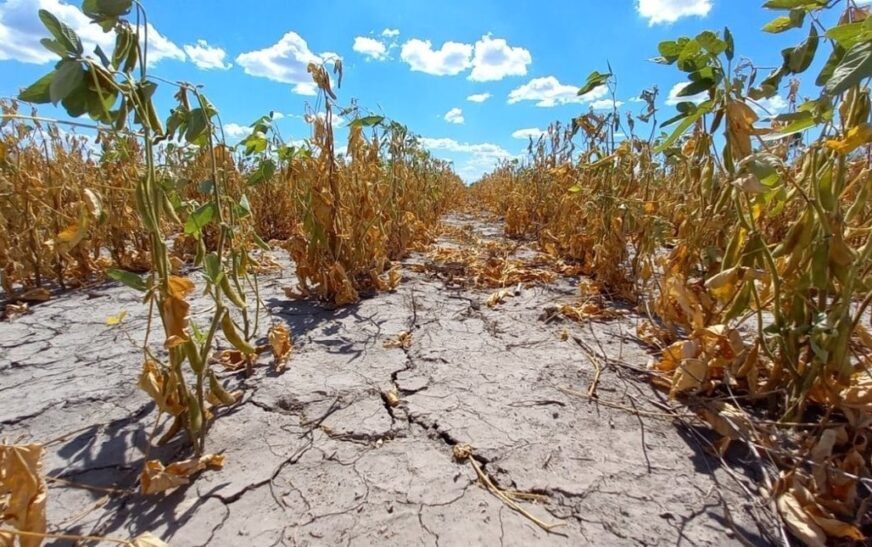Declararon la emergencia agropecuaria en Chubut, Río Negro y Mendoza por fenómenos climáticos
