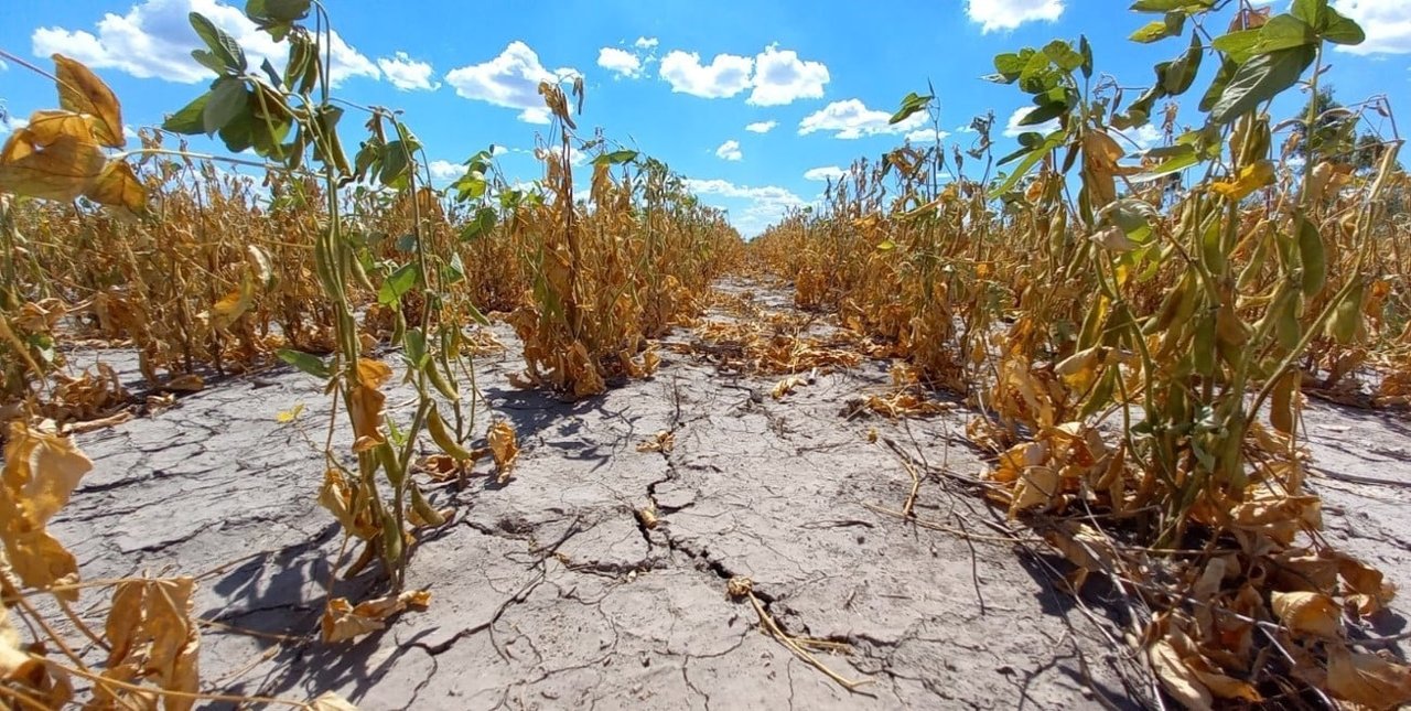 Declararon la emergencia agropecuaria en Chubut, Río Negro y Mendoza por fenómenos climáticos