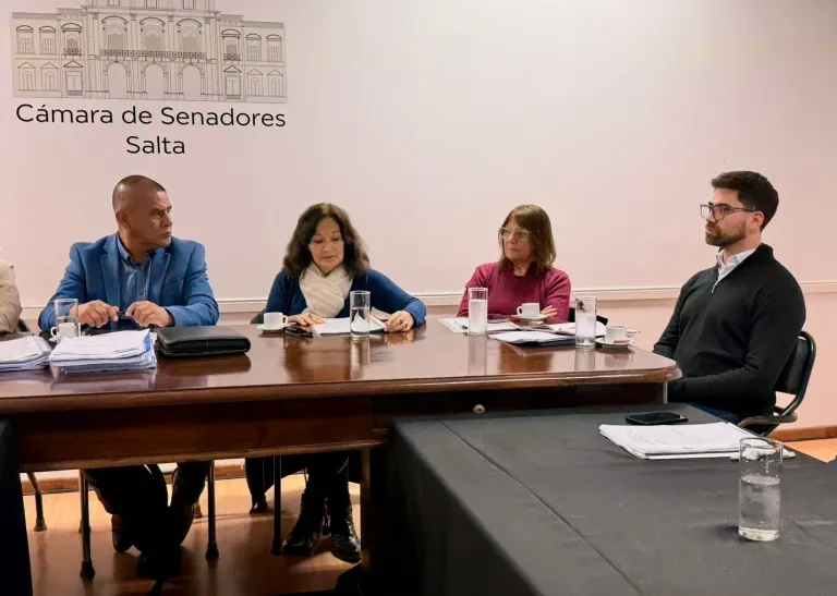 Debate en el Senado por la viabilidad de la Caja previsional de Nutricionistas y Trabajadores Sociales