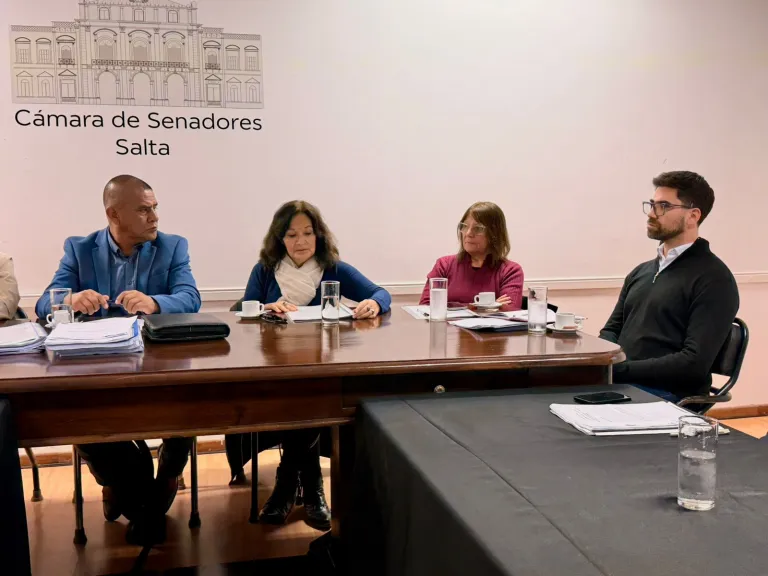 Debate en el Senado por la viabilidad de la Caja previsional de Nutricionistas y Trabajadores Sociales