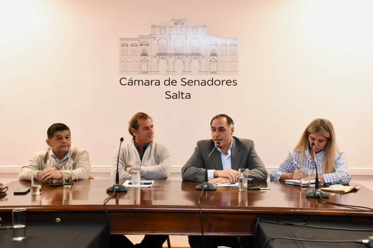 Reunión en el Senado: trabajan para solucionar a la brevedad la suspensión del servicio nocturno de transporte de pasajeros