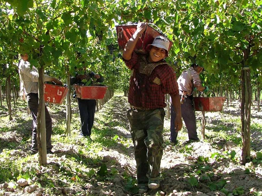 Trabajadores rurales cobrarán hasta $400.000 por la prestación por desempleo desde agosto