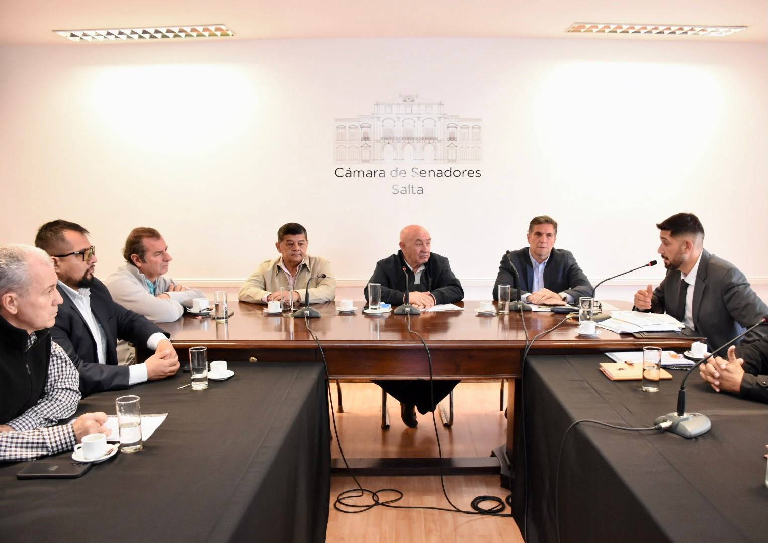 El Senado impulsa una mesa de trabajo con la Justicia para fortalecer la política de seguridad en Salta