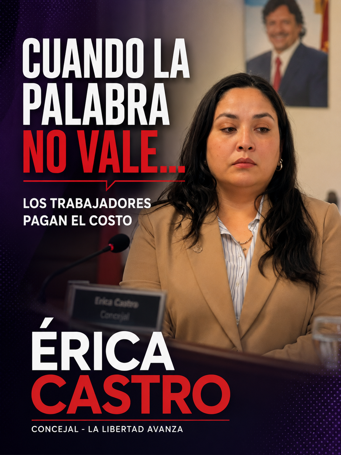La Concejal Erica Castro expuso al Intendente