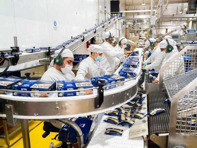 Empleo privado: se perdieron más de 241 mil puestos desde noviembre de 2023