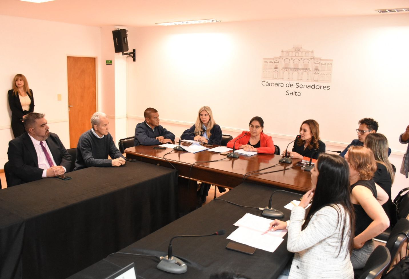 Violencia de género: el Senado avanza con la prórroga de la emergencia por otros dos años
