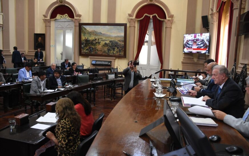 El Senado aprobó prorrogar por dos años la emergencia por violencia de género en Salta