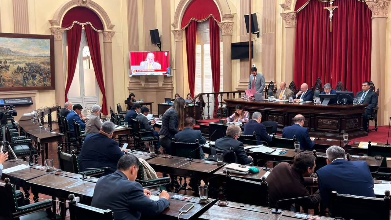 El Senado aprobó la reforma de la Carta Orgánica Municipal de Salta y el proyecto vuelve a Diputados